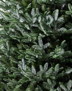 Balsam Hill European Silver Fir - Elegant Artificial Christmas Tree with True Needle Foliage Available Unlit or with LED Clear Lights, Unlit, 6'