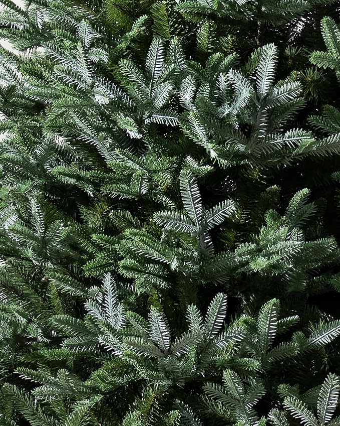 Balsam Hill European Silver Fir - Elegant Artificial Christmas Tree with True Needle Foliage Available Unlit or with LED Clear Lights, Unlit, 6'