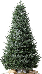 Balsam Hill European Silver Fir - Elegant Artificial Christmas Tree with True Needle Foliage Available Unlit or with LED Clear Lights, Unlit, 5'