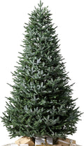 Balsam Hill European Silver Fir - Elegant Artificial Christmas Tree with True Needle Foliage Available Unlit or with LED Clear Lights, Unlit, 7'