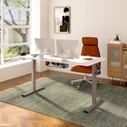 FLEXISPOT EN2 Whole-Piece Standing Desk with Clamp Power Strip, 48 x 24'' Electric Stand Up Height Adjustable Desk with Cable Management (Gray Frame + 48" White Desktop, 2 Packages)