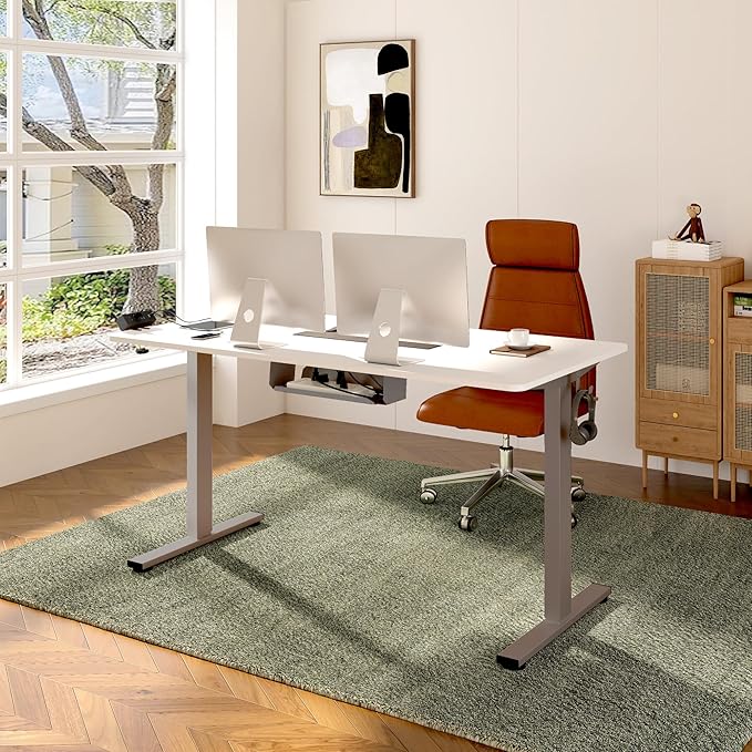 FLEXISPOT EN2 Whole-Piece Standing Desk with Clamp Power Strip, 48 x 24'' Electric Stand Up Height Adjustable Desk with Cable Management (Gray Frame + 48" White Desktop, 2 Packages)