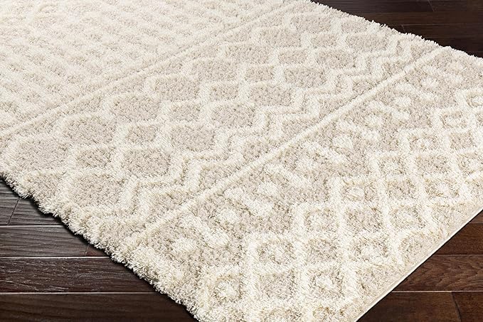 Livabliss Hapsburg Moroccan Shag Runner Area Rug,2'7" x 14',Beige