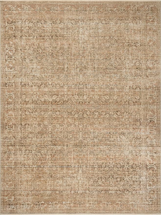 Loloi Amber Lewis Molly Collection MOL-08 Antique/Multi 7'-10" x 10' Low Pile Area Rug
