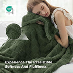 Bedsure GentleSoft Blankets Queen Size for Bed - Super Soft Cozy Blanket for Women Men Girls, Large Fuzzy Fleece Throw for Bedroom Decor, Bronze Green, 90x90 Inches