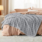 Bedsure GentleSoft Twin Blanket for Bed Silver Grey - Super Soft Cozy Blankets for Women Men Girls, Cute Fuzzy Fleece Throws for Bedroom Couch, 60x80 Inches