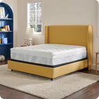 Sealy Dreamlife 3” Gel Memory Foam King Mattress Topper with 1” Quilted Cooling Cover, SealyComfort Gel Foam, SealyCool Poly Blend Cover