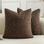 Pack of 2 Curly Teddy Wool Faux Fur Throw Pillow Covers Fuzzy Accent Soft Sherpa Pillowcases Sheepskin Fleece Decorative Cushion Case for Sofa Couch Living Room 24x24 Inch Chocolate