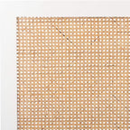 SAFAVIEH Home Collection Vienna White Wash Cane Full Headboard Platform, Double (HBD8004C-F)