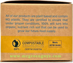 Compostable Heavyweight Disposable Forks - 100 Count CPLA Forks - Eco Friendly Compostable Forks Made from Cornstarch