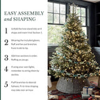 Balsam Hill 6.5ft Unlit Classic Blue Spruce - Artificial Christmas Tree with 2,144+ Tips, Premium Stand & Easy Assembly for Indoor Holiday Decorating