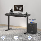 FLEXISPOT Comhar Electric Standing Desk with Drawer Desktop & Adjustable Frame Quick Install w/USB Charge Ports (Black, Wood)