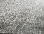 SAFAVIEH Area Rug 8x10 - Evoke Collection - Large - Grey & Ivory, Distressed Design, Non-Shedding & Easy Cleaning, Ideal for Living Room, Bedroom, Dining Space (EVK256D)