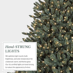 Balsam Hill 4.5ft Pre-Lit Classic Blue Spruce - Artificial Christmas Tree with 886+ Tips, 300 Clear LED Lights, Easy Plug Technology & Premium Stand for Indoor Holiday Decorating
