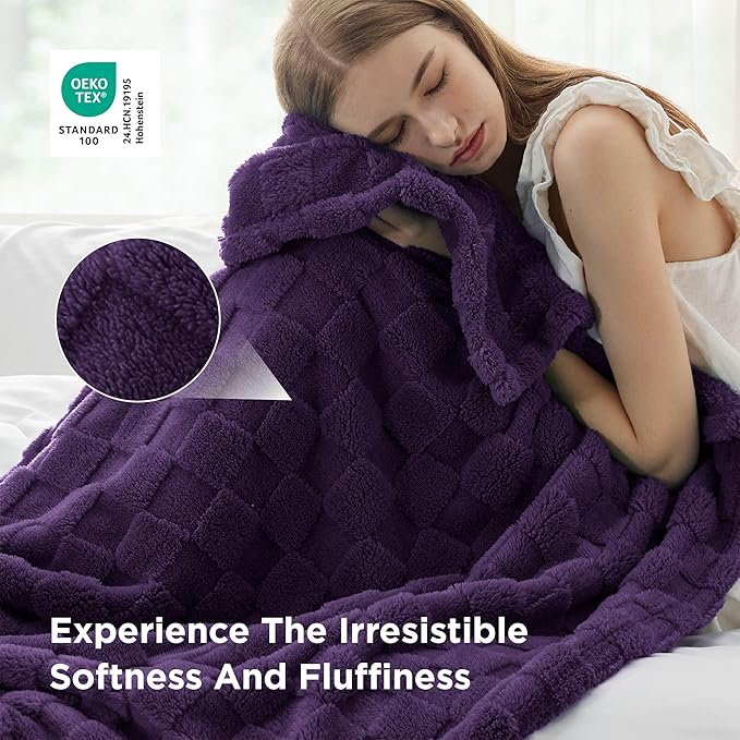 Bedsure GentleSoft Twin Blanket for Bed Purple - Super Soft Cozy Blankets for Women Men Girls, Cute Fuzzy Fleece Throws for Bedroom Couch, 60x80 Inches