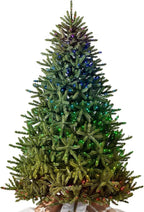 Balsam Hill 7ft Pre-Lit Classic Blue Spruce - Artificial Christmas Tree with Twinkly Lights, Easy Plug Technology, Premium Stand for Indoor Holiday Decorating