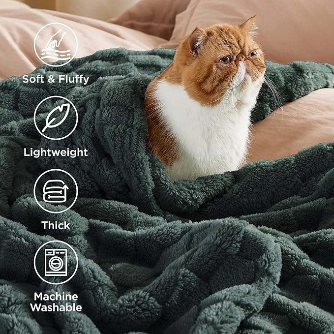 Bedsure GentleSoft King Size Blanket for Bed - Super Soft Cozy Blankets for Women Men Girls, Large Fuzzy Fleece Throw for Bedroom Decor, Mallard Green,108x90 Inches