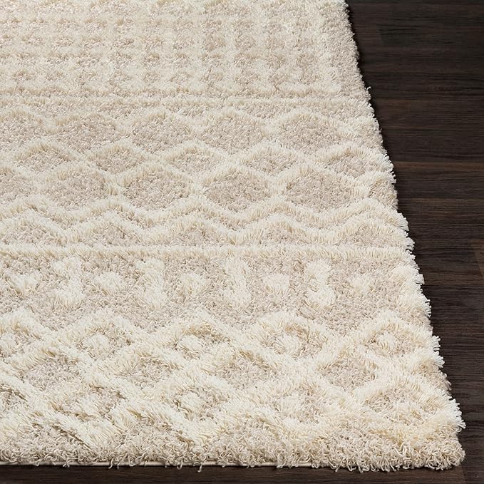 Livabliss Hapsburg Moroccan Shag Runner Area Rug,2'7" x 12',Beige