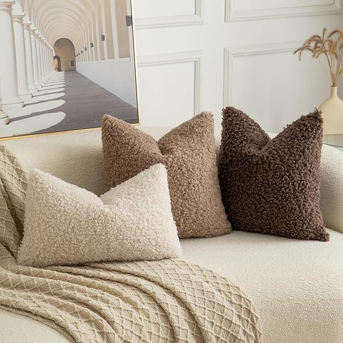 Pack of 2 Curly Teddy Wool Faux Fur Throw Pillow Covers Fuzzy Accent Soft Sherpa Pillowcases Sheepskin Fleece Decorative Cushion Case for Sofa Couch Living Room 24x24 Inch Chocolate