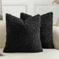 Pack of 2 Curly Teddy Wool Faux Fur Throw Pillow Covers Fuzzy Accent Soft Sherpa Pillowcases Sheepskin Fleece Decorative Cushion Case for Sofa Couch Living Room 18x18 Inch Black