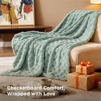 Bedsure GentleSoft Twin Blanket for Bed - Super Soft Cozy Blankets for Women Men Girls, Cute Fuzzy Fleece Throws for Bedroom Couch, Sage Green, 60x80 Inches