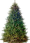 Balsam Hill 6.5ft Pre-Lit Classic Blue Spruce Artificial Christmas Tree with 2,144+ Tips, 330 Twinkly LED Smart Lights, Easy Plug Technology & Premium Stand for Indoor Holiday Decorating