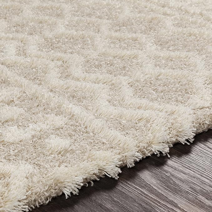 Livabliss Hapsburg Moroccan Shag Area Rug, 4'3" x 5'7", Beige
