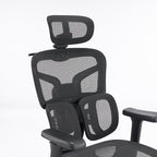 High-Back Ergonomic Mesh Office Chair, Modern Executive Desk Chair with 4D Armrests Computer Task Chair (Black Mesh Dual Lumbar Support)