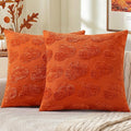 decorUhome Decorative Two Rust Pumpkins Thanksgiving Throw Pillow Covers 20x20 Set of 2, Soft Chenille Jacquard Farmhouse Textured Pillow Covers for Couch Bed Sofa Autumn Harvest Halloween Holiday