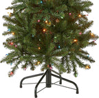 National Tree Company 4.5 ft Pre-Lit Kingswood Fir Slim Artificial Christmas Tree, 150 Multicolor Lights, 330 Tips, Includes Stand, Green