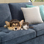 74" Loveseat Couch for Living Room,Modern Chenille Upholstered Sofa with Adjustable Storage Armrest,Cup Holders,USB & Type-C Ports, Solid Wood 2-Seater Loveseat Sofa for Apartment(Blue)