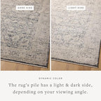 Loloi Amber Lewis Alie Collection ALE-05 Charcoal/Beige 7'-10" x 10', .13" Pile Height, Area Rug