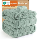 Bedsure GentleSoft Blankets Queen Size for Bed - Super Soft Cozy Blanket for Women Men Girls, Large Fuzzy Fleece Throw for Bedroom Decor, Sage Green, 90x90 Inches