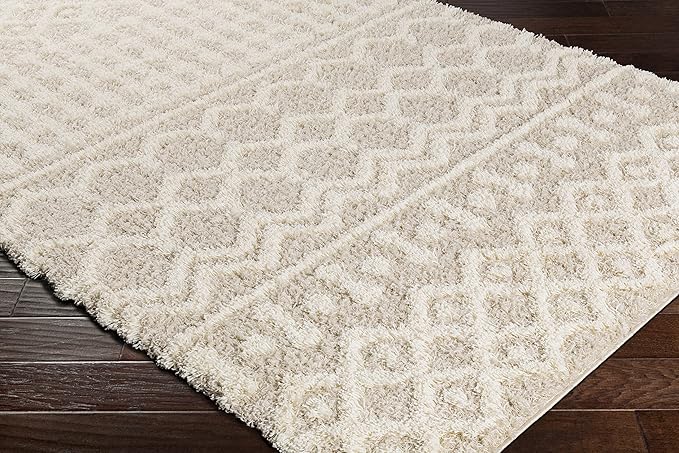 Livabliss Hapsburg Moroccan Shag Runner Area Rug,2'7" x 12',Beige