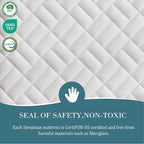 Sleepmax Queen Mattress 14 Inch - Deep Sleep Hybrid Mattress Pain Relief - Bed in a Box Extra Lumbar & Hip Support - Fiberglass-Free, CertiPUR-US Certified, 720-Night Trial