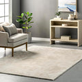 nuLOOM 4' x 6' Cozy Plush SuperiorWash Area Rug, Machine Washable, Non-Slip, Soft Fluffy Shag Carpet for Living Room Bedroom Kids Room Nursery Home Decor, Loni Cream