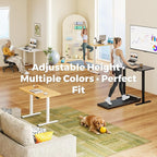 One-Piece Standing Desk 47 x 24 Inches, Small Adjustable Height Desk， Electric Sit Stand Desks Home Office Computer Workstation, Maple