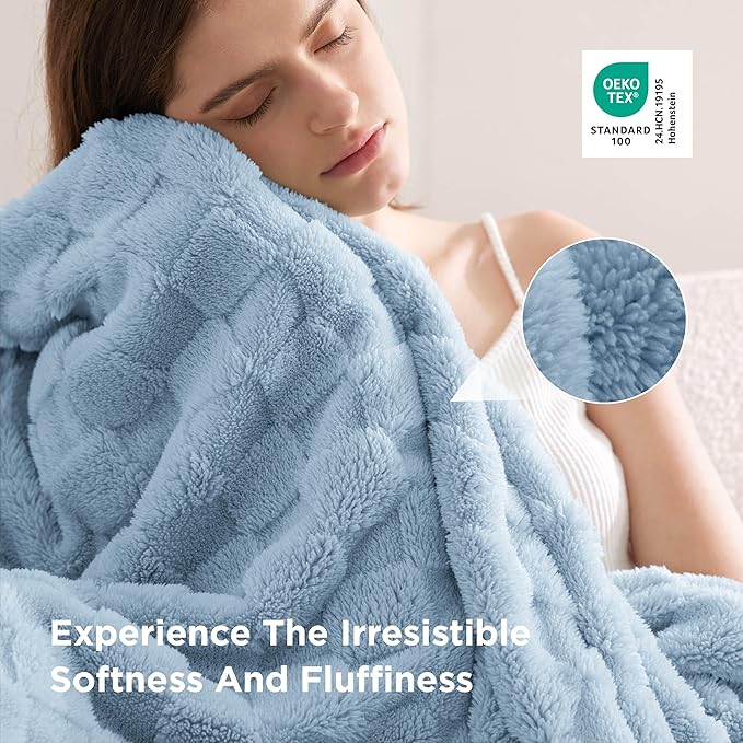 Bedsure GentleSoft Twin Blanket for Bed Light Blue - Super Soft Cozy Blankets for Women Men Girls, Cute Fuzzy Fleece Throws for Bedroom Couch, 60x80 Inches