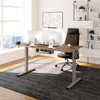 FLEXISPOT EN2 Whole-Piece Standing Desk with Clamp Power Strip, 48 x 24 Electric Stand Up Height Adjustable Desk with Cable Management (Gray Frame + 48" Black Walnut Desktop, 2 Packages)