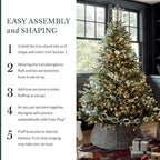 Balsam Hill 6.5ft Pre-Lit Classic Blue Spruce - Artificial Christmas Tree with 2144+ Tips, 700 Clear Incandescent Lights, Easy Plug Technology & Premium Stand for Indoor Holiday Decorating
