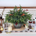 24 Pcs Pine Branches Artificial Green Pine Stem - Real Touch Christmas Greenery Pines Branch for Vase DIY Crafts Flower Arrangement Home Indoor Christmas Decor(18 Inch)