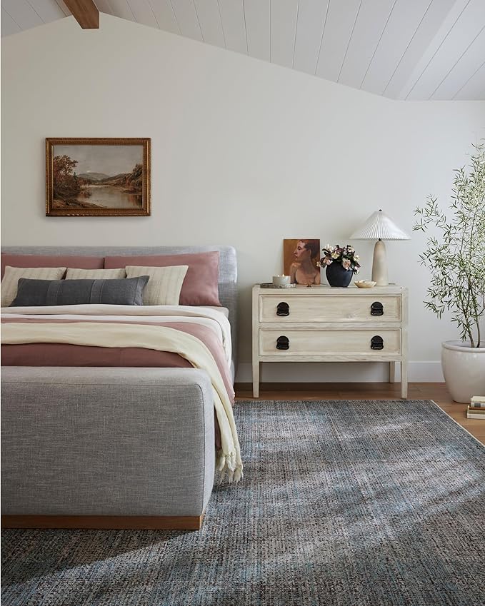 Loloi Angela Rose Ember Collection EMB-09 Denim/Charcoal 2'-3" x 3'-10" Accent Rug