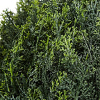 Artificial Cypress Topiary-23Â” Ball Style Faux Plant in Sturdy Pot-Realistic Indoor or Outdoor Potted Shrub-Home Decor by Pure Garden