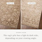 Loloi Chris Loves Julia Palma Collection PLM-09 Brown/Earth 5'-3" x 7'-6" Fringe Area Rug Vintage Style Boho Living Room Bedroom Carpet