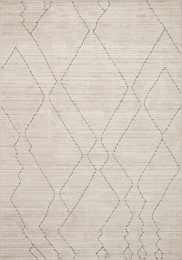 Loloi Darby Collection DAR-03 Sand/Charcoal 7'-10" x 10' Area Rug