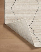 Loloi Darby Collection DAR-03 Sand/Charcoal 7'-10" x 10' Area Rug