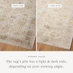 Loloi Magnolia Home by Joanna Gaines Pace Collection PAC-04 Natural/Multi 2'-6" x 10'-0" Runner Rug