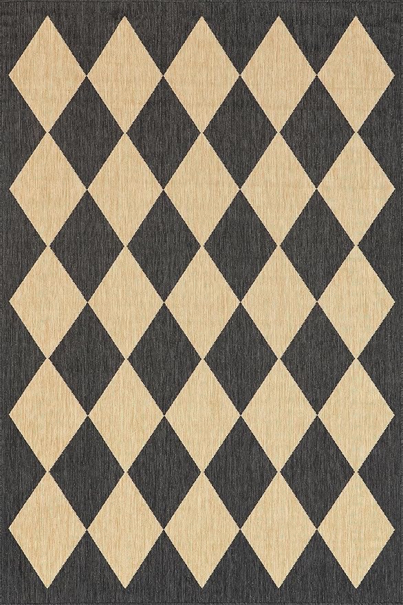 nuLOOM 2' x 6' Outdoor Performance Area Rug, Stain Resistant, Weather Resistant, High Traffic, Patio, Balcony, Outside, Sabina Dark Grey