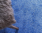 Unique Loom Solid Shag Collection Area Rug (2' 7" x 19' 8" Runner, Periwinkle Blue)