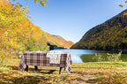 Eddie Bauer - Full Sheets, Cotton Flannel Bedding Set, Brushed For Extra Softness, Cozy Home Decor (School of Fish, Full)
